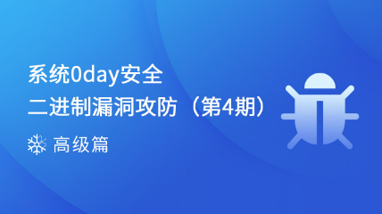 系統(tǒng)0day安全-二進制漏洞攻防（第4期）